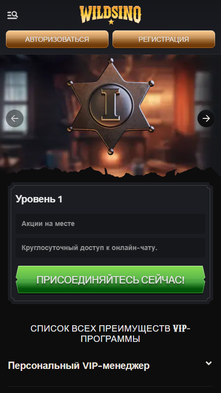 Wildsino Vip программа