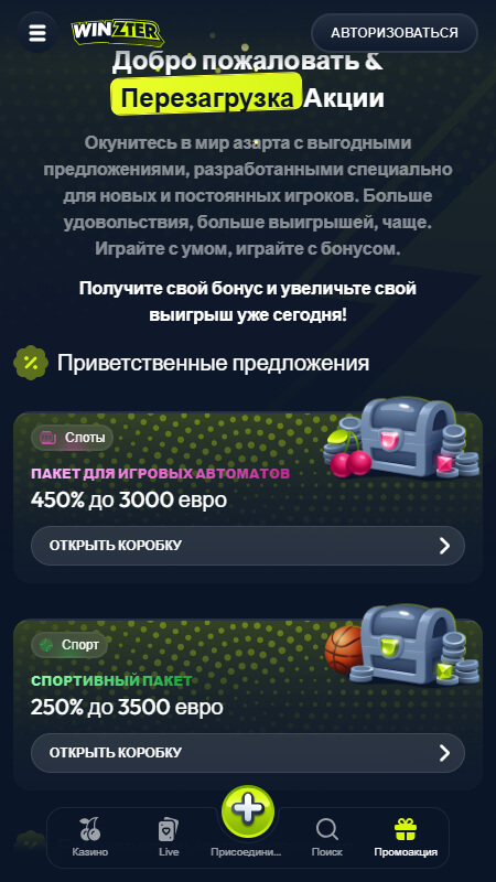 Winzter бонусы