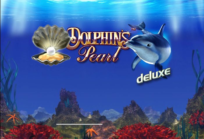 play dolphins pearl